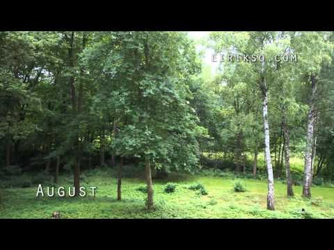 A true timelapse of 2010