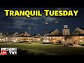 Live Tranquil Tuesday A Relaxing Evening On The Disney Skyliner Walt Disney World 2 3 26