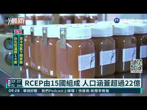 紐澳批准 全球最大經貿協定RCEP誕生