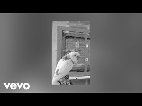 Los Alegres De Teran - La Pajarera