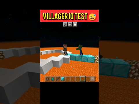 Ultimate Minecraft Villager IQ Test