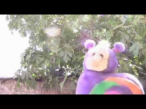 Andai puro karacoleando!!