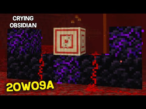 Minecraft 1.16 Snapshot 20w09a - Crying Obsidian, Target Block and More - 1.16 Nether Update