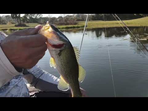 My Last Dock Master's Report  -  April 6, 2023