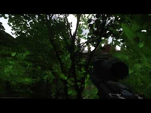 Camping Path to shoreline