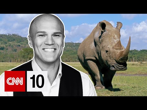 打擊偷獵犀牛的希望 | 2025年3月5日 (Hope in the Fight against Rhino Poaching | March 5, 2025)