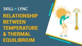 Relationship between Temperature & Thermal Equilibrium | Skill-Lync
