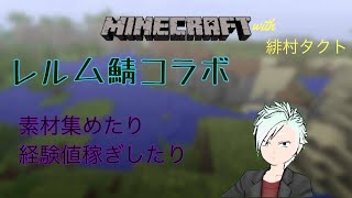 タクトさんとレルム鯖でマインクラフト