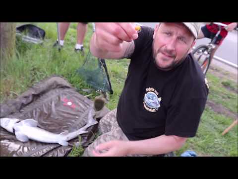 We fish for eel and tench