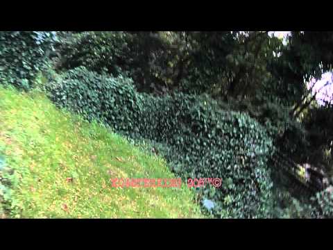 Nemesis | POV - Front Seat - 10|10|2013