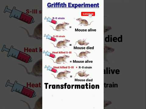 griffith experiment | transforming Principle | transformation | dna as genetic material