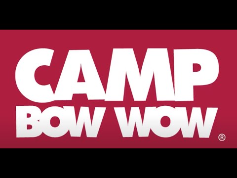 Why You Should Invest in a Camp Bow Wow Franchise: A Top Opportunity for Dog Lovers!