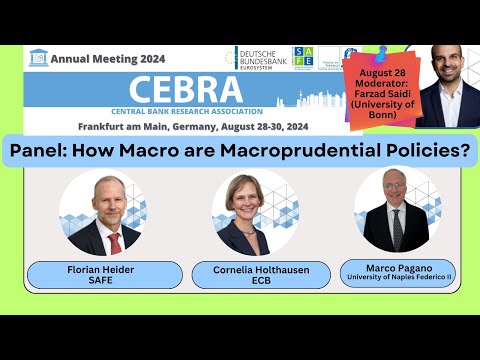 #CEBRA2024 Panel: How Macro are Macroprudential Policies?