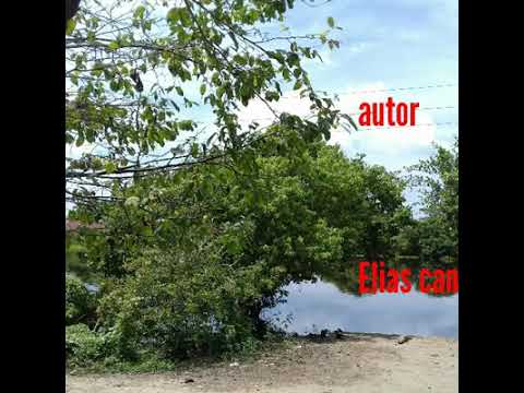 Campesino parrandero el PELUZA