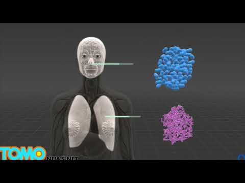 BIO 205 - Chapter 14 - Antimicrobial Drugs