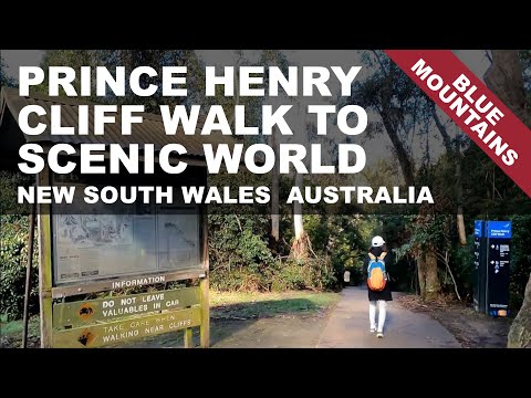 Blue Mountains Prince Henry Cliff Walk to Scenic World, Nova Gales do Sul, Austrália