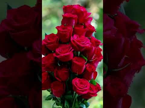 please like and subscribe 🙏