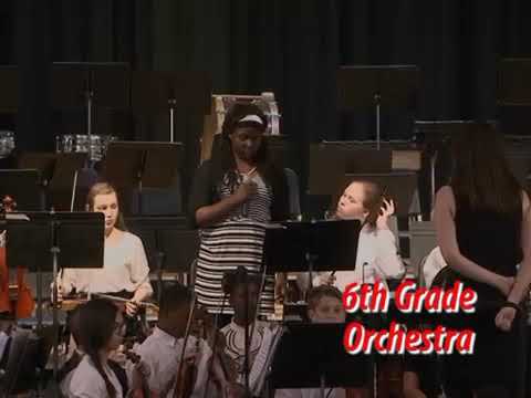 FMS Spring Orchestra 2017