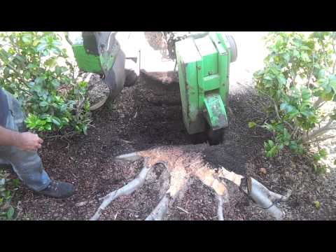 A & J's Laski Stump Grinder
