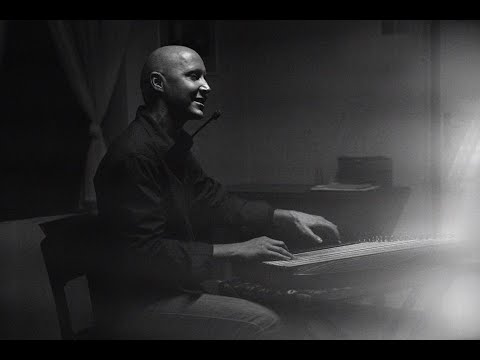 fields of gold zither cover michal müller