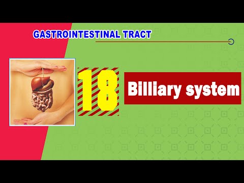 𝟏𝟖. 𝐁𝐢𝐥𝐢𝐚𝐫𝐲 𝐬𝐲𝐬𝐭𝐞𝐦 🟢🌳 (القنوات المرارية)