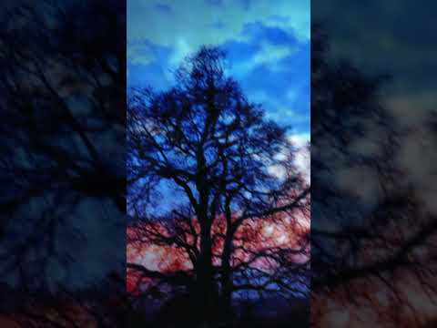 #nature #peace #🌌🖤 #nepal 🇳🇵 #birajsubedi