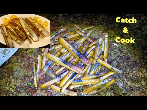 RAZOR CLAM - Catch n COOK , Delicious Oven Cooked Clams