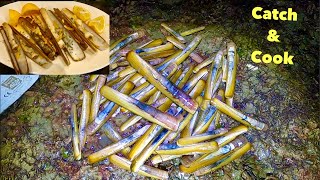 RAZOR CLAM - Catch n COOK , Delicious Oven Cooked Clams