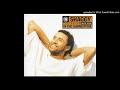 Shaggy featuring Rayvon - In The Summertime (Original 7