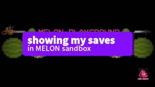 showing my saves in melon sandbox intro