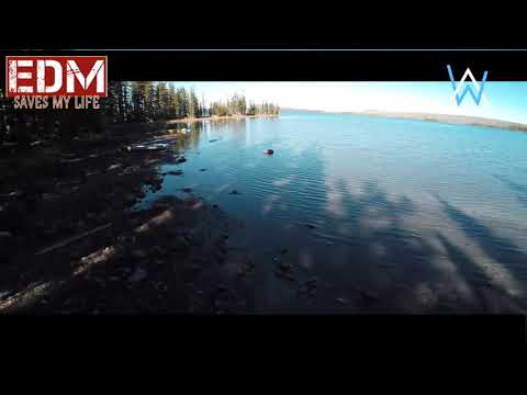 Marshmallow the Chainsmokers ft. Halsey love (official music video)