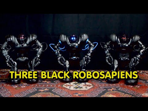 2019 - THREE BLACK ROBOSAPIENS