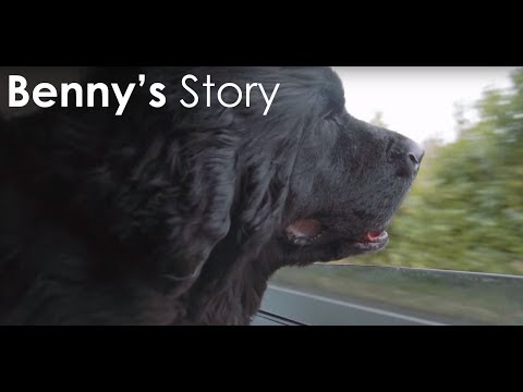 Trupanion video/presentation/materials