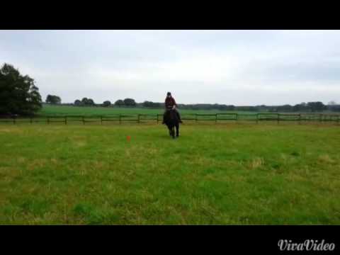 ♡ Prinz Eisenherz ♡