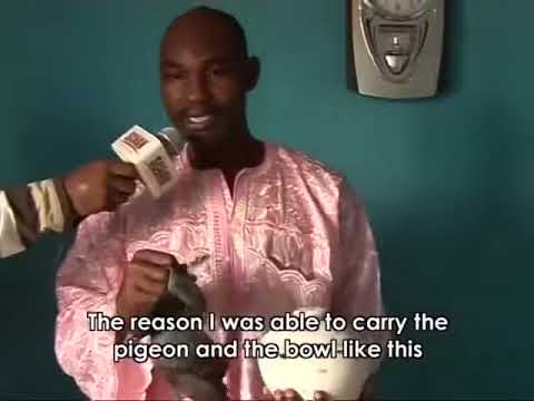 WITCHDOCTOR'S DELIVERANCE!  I Send Pigeons To KILL!! TB Joshua, A Prophet Like No Other