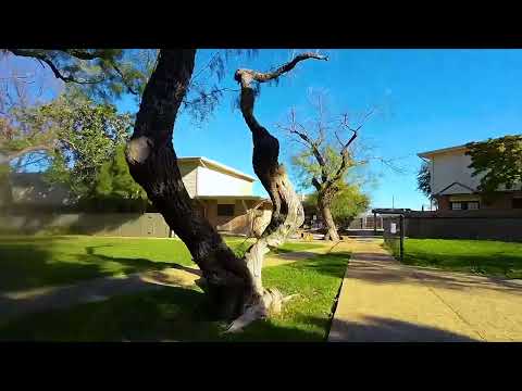 Sample YT Video
