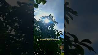 Download lagu Story WA || Sholawat Muhammad Nabina || Edit VN mp3 Download lagu Story WA || Sholawat Muhammad Nabina || Edit VN mp3