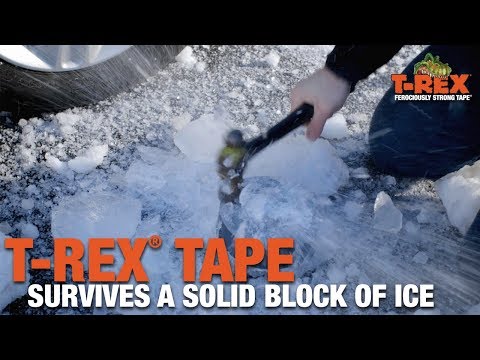 T-Rex® Tape Survives a Block of Ice