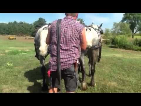 Yeske family visits Baysingers in Nebraska for Bruning Days