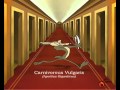 Cartoon Network Europe Hotel Bumper 2002