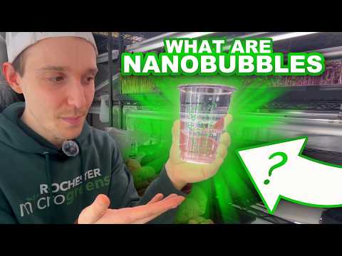 What Are Nanobubbles & How To Use Them In Agriculture!