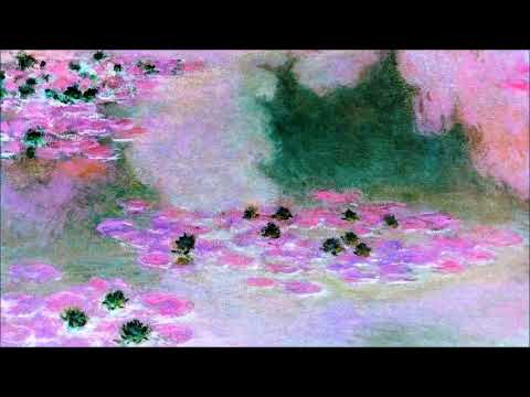 Dan Dediu (*1967): Violin concerto "Nuferi (Water lilies)" op. 106 (2004)