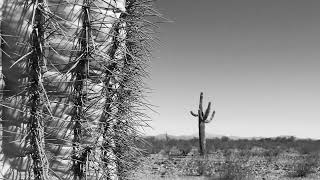 That’s all there is to this song (cover)