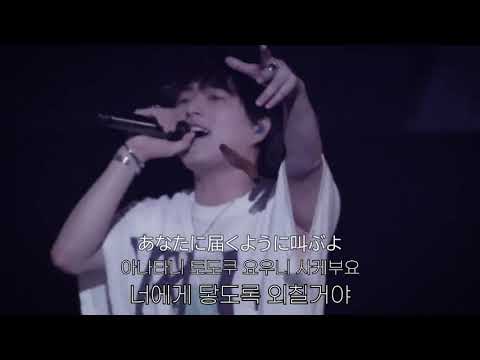 Novelbright  - Walking with you [가사/발음] 오사카홀 라이브