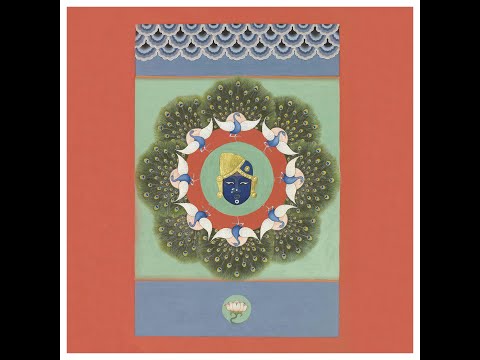 World Wild Web & Tritha - Prophet