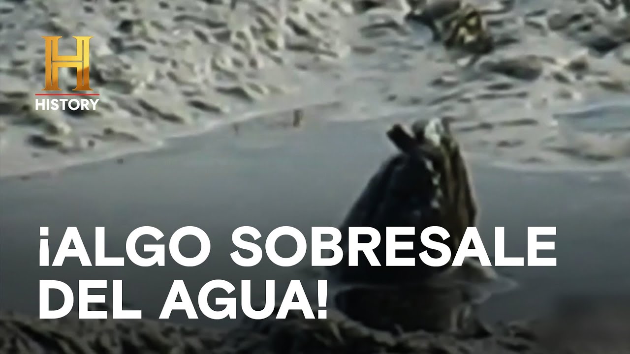 ¡ALGO SOBRESALE DEL AGUA! - LA EVIDENCIA ESTÁ ENTRE NOSOTROS