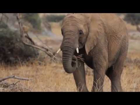 The Namibian Experience Video 04