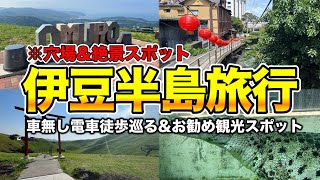 【伊豆旅行】車無し電車で巡る！伊豆高原&伊豆熱川1泊2日一人旅vlog【伊豆観光】【温泉地】【バナナワニ園】