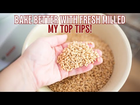 Fresh Milled Flour Conversion Tips {Easy Adjustments for Success!)