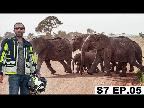 EXPENSIVE BUT GOT VERY LUCKY TO SEE ALL WILDLIFE S7 EP.05 | Pakistan to South Africa Motorcycle Tour